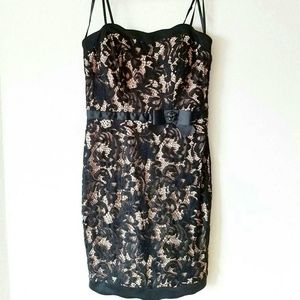 Black lace scalloped bodycon dress